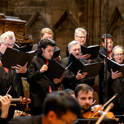 Te-Deum Papst Leo XIV / Erzdiözese Wien/Schönlaub, Stephan Schönlaub