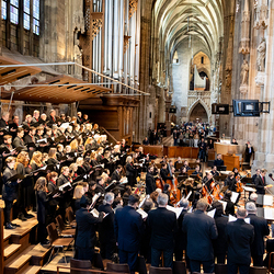 Te-Deum Papst Leo XIV / Erzdiözese Wien/Schönlaub, Stephan Schönlaub