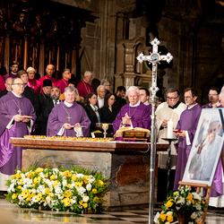 Stephansdom: Österreich nahm Abschied von Papst Franziskus / Erzdiözese Wien/ Schönlaub, Stephan Schönlaub Stephansdom: Österreich nahm Abschied von Papst Franziskus