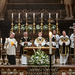 Allerseelen Requiem im Stephansdom / Erzdiözese Wien/Schönlaub, Stephan Schönlaub Allerseelen Requiem im Stephansdom