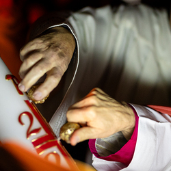 2025 Osternacht / Erzdiözese Wien/Schönlaub