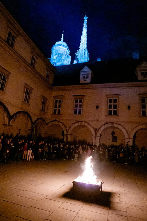 Feier der Osternacht 2026 / Erzdiözese Wien/Schönlaub, Stephan Schönlaub